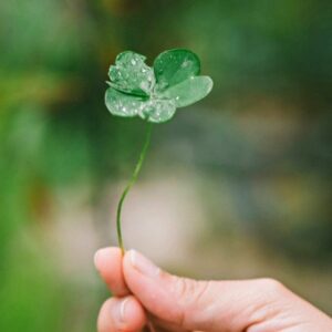 【50代】人生をシンプルに整えるための5つの問いかけ