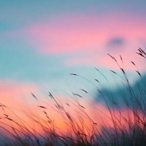 【50代】人生をシンプルに整えるための5つの問いかけ